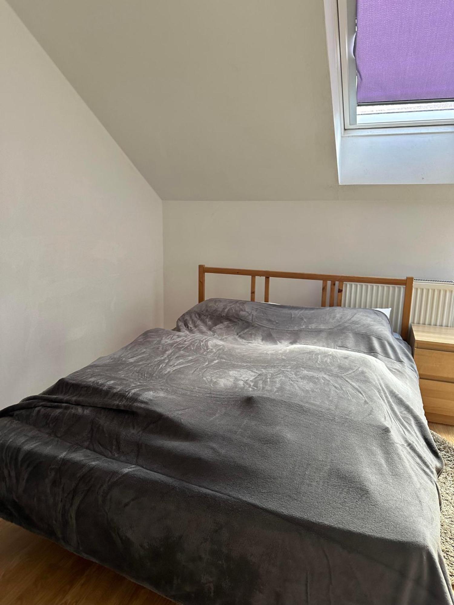 Xxx Apartman